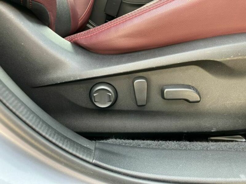 LEVORG-10