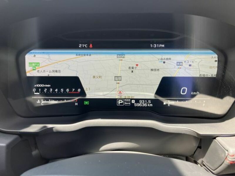 LEVORG-19