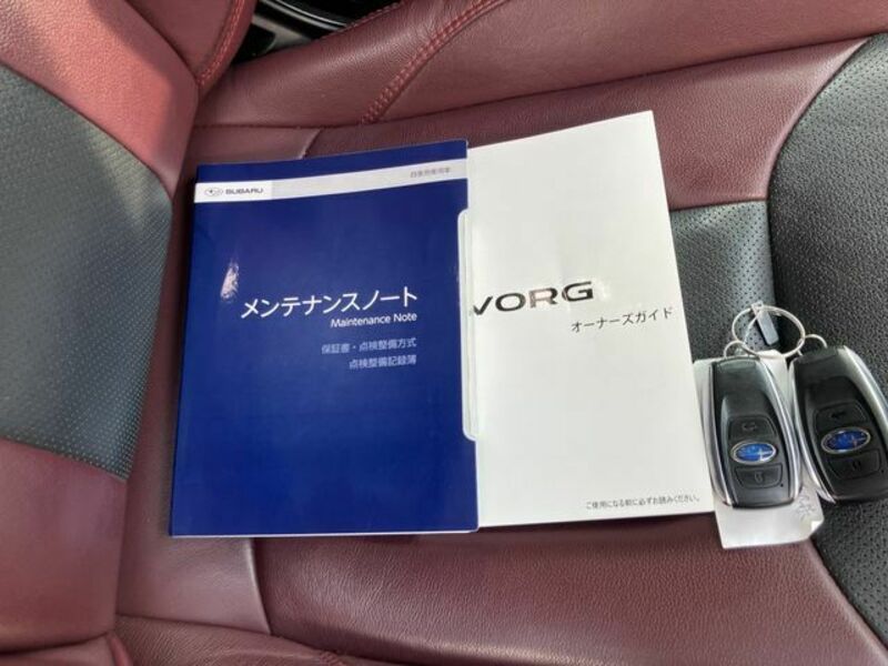 LEVORG-25