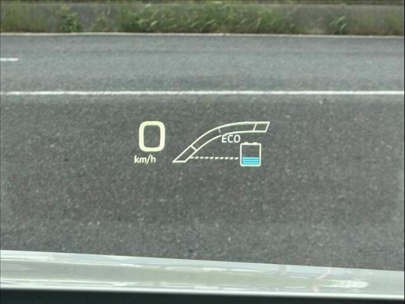 PRIUS-16