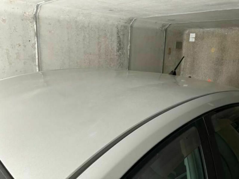 PRIUS-14