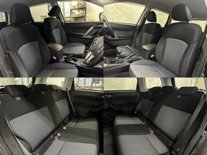 FORESTER-6