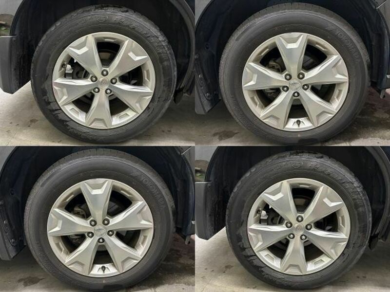FORESTER-8