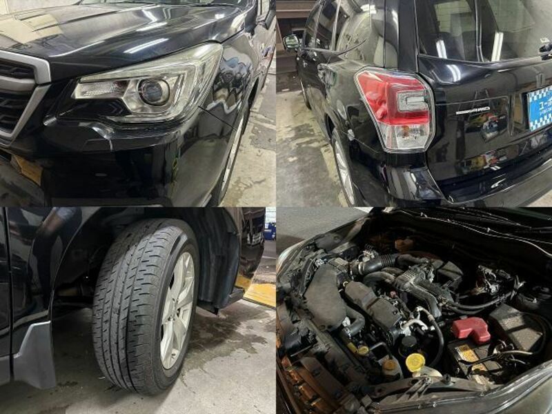 FORESTER-9