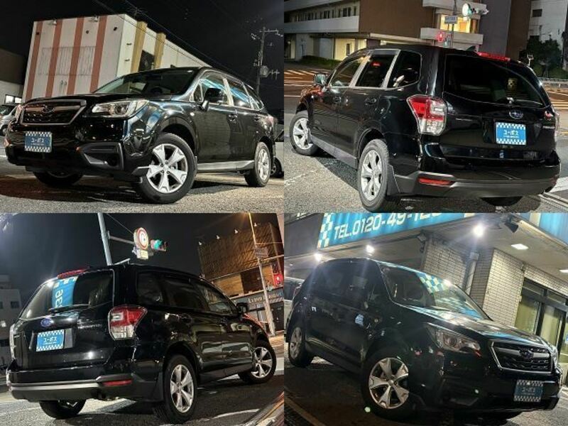 FORESTER-11
