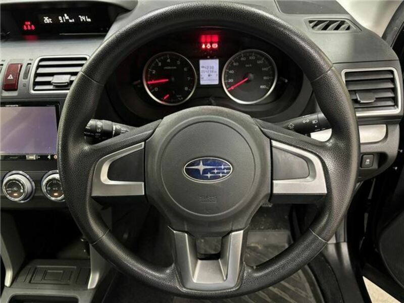 FORESTER-12