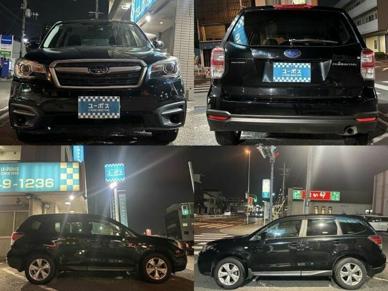 FORESTER-14
