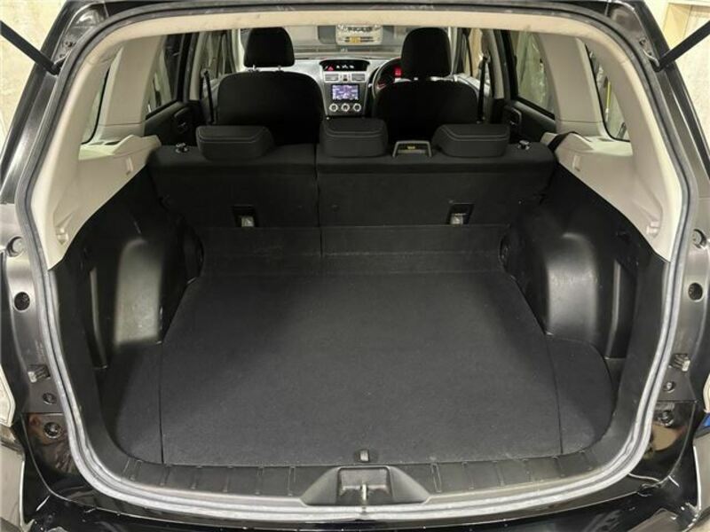 FORESTER-18