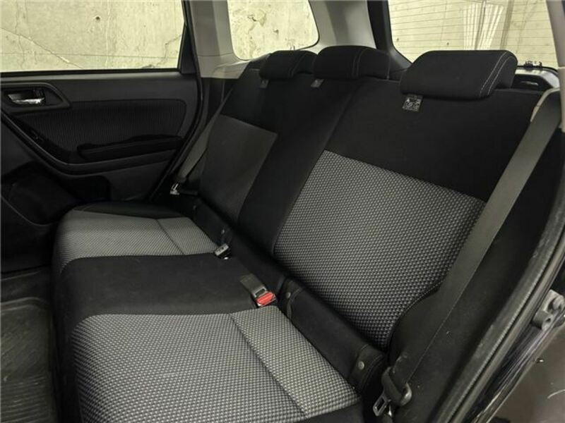 FORESTER-29