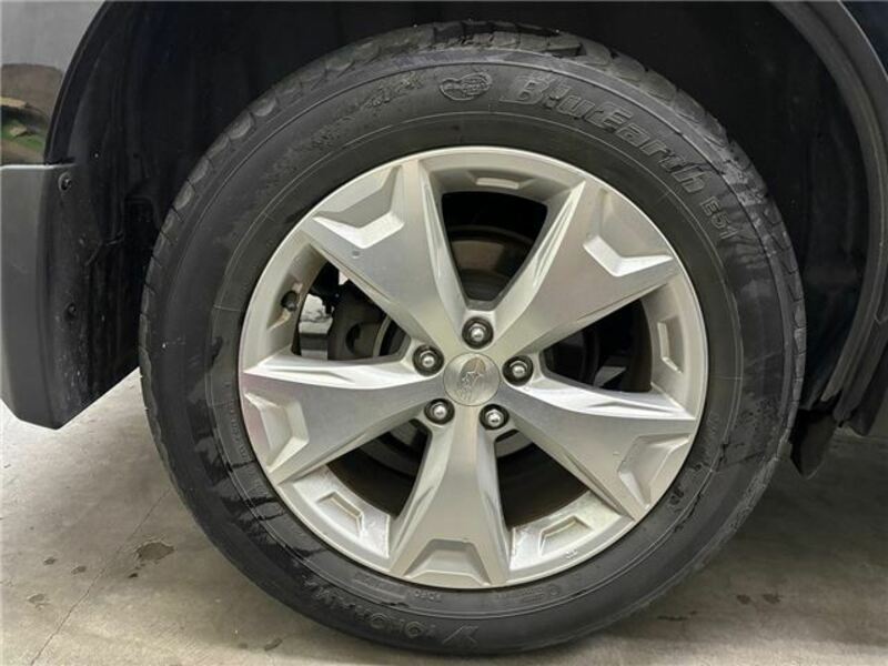 FORESTER-31