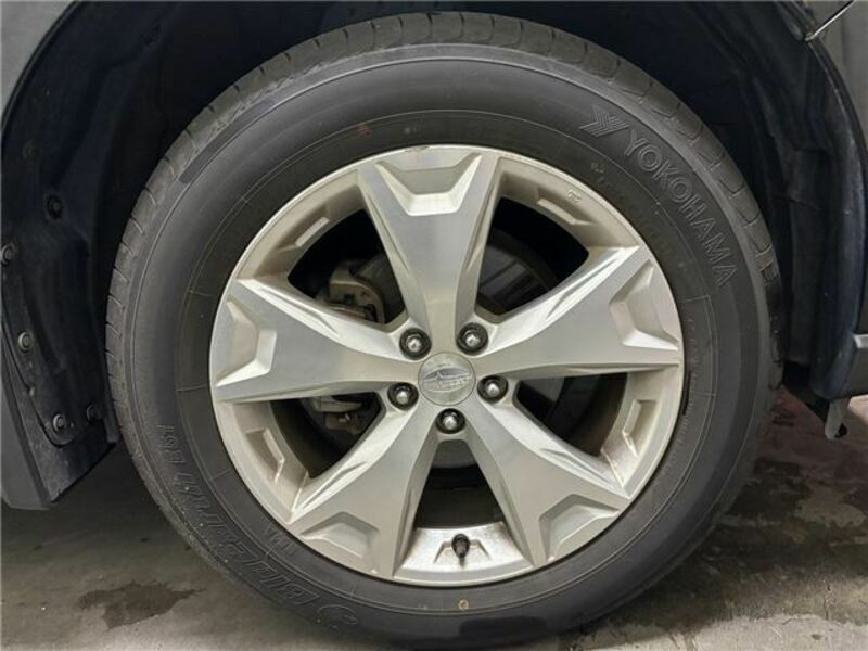 FORESTER-32