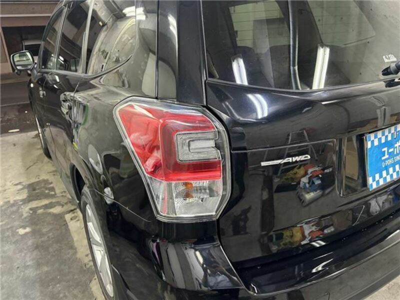 FORESTER-35