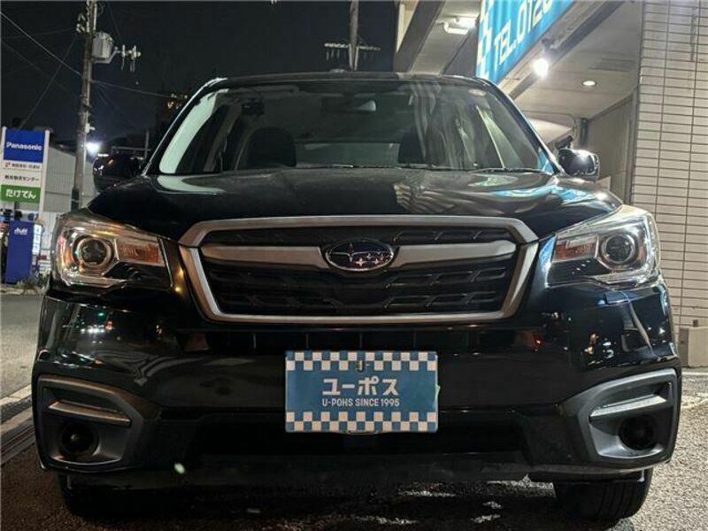 FORESTER-41