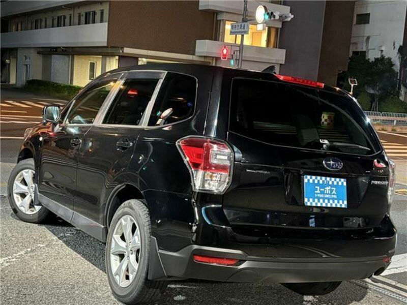 FORESTER-43