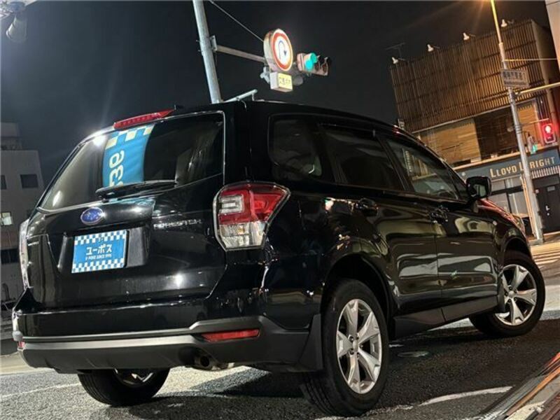 FORESTER-45