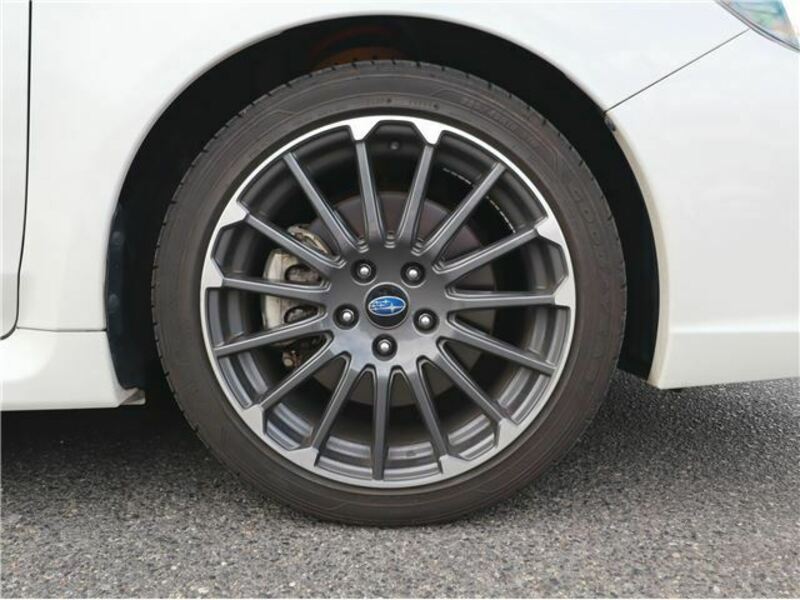 LEVORG-19