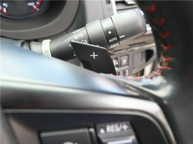LEVORG-30