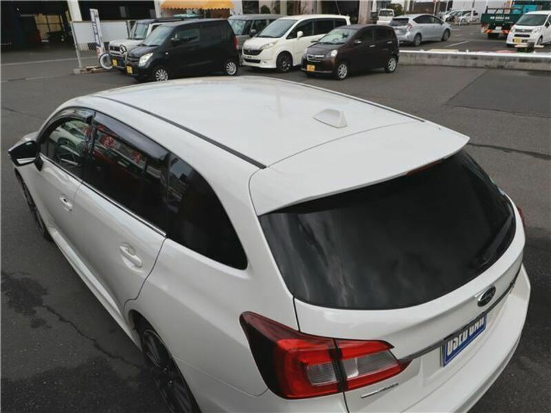 LEVORG-41