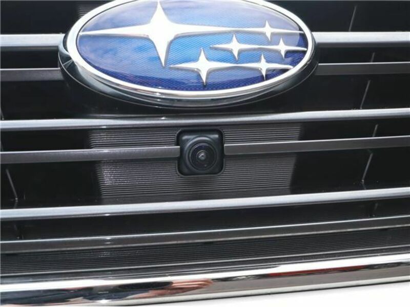LEVORG-44