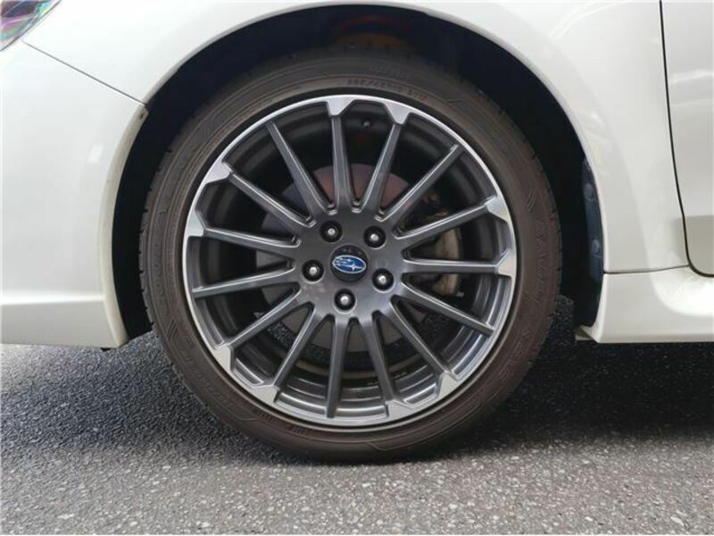 LEVORG-46