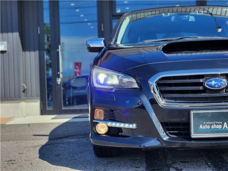 LEVORG