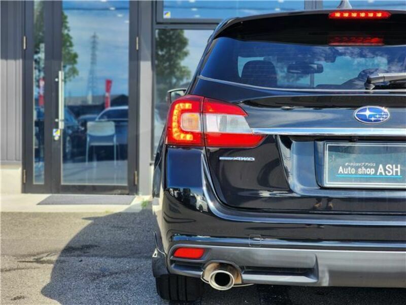 LEVORG