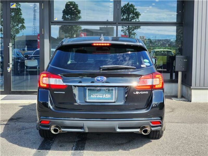LEVORG