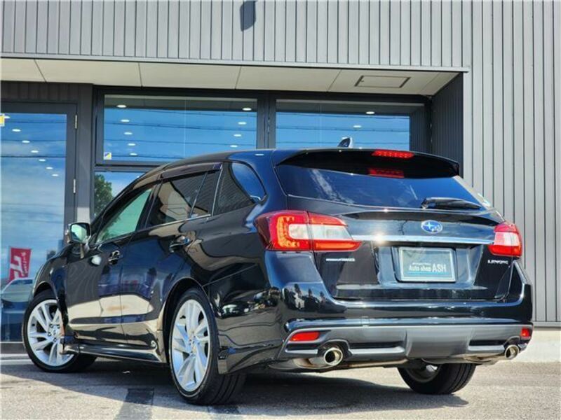 LEVORG
