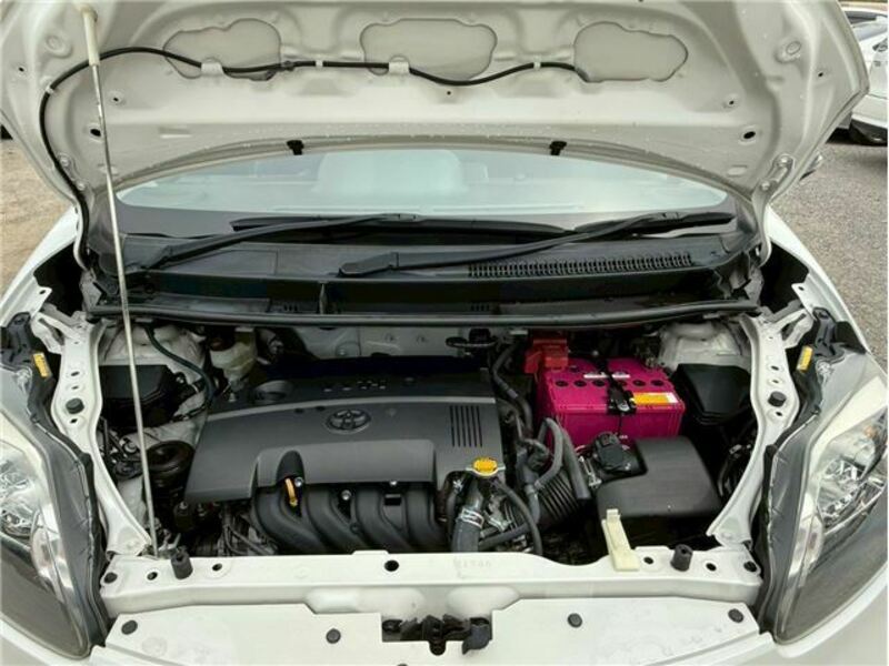 PORTE-31