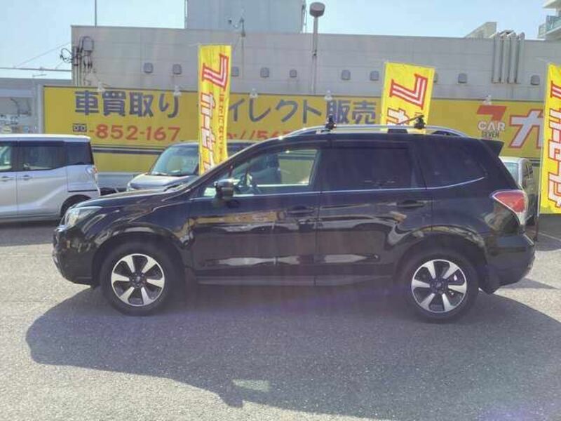 FORESTER