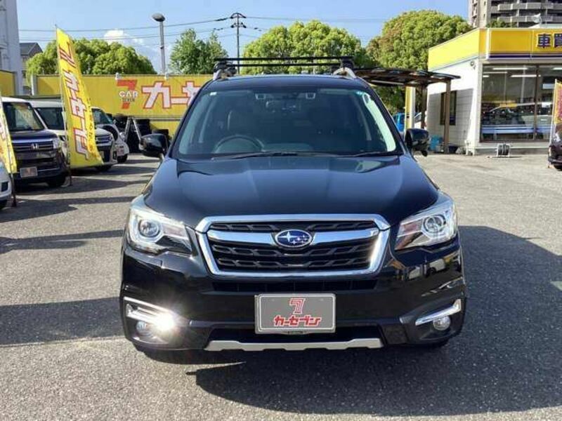 FORESTER