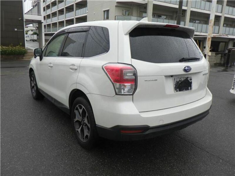 FORESTER