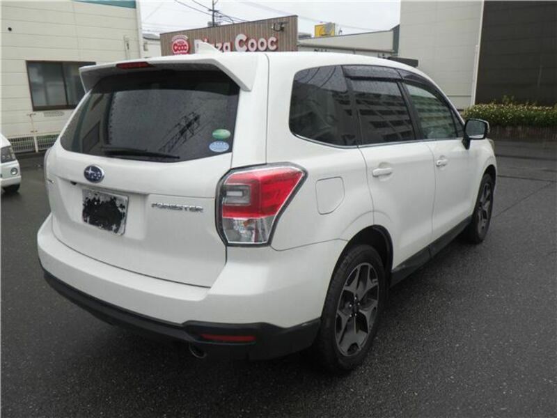 FORESTER