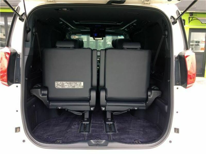 ALPHARD-41