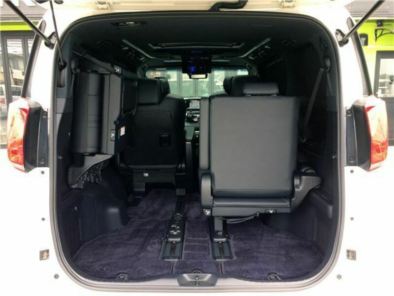 ALPHARD-42