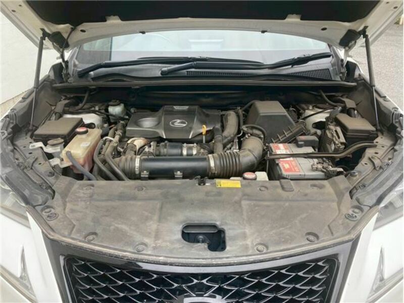 NX