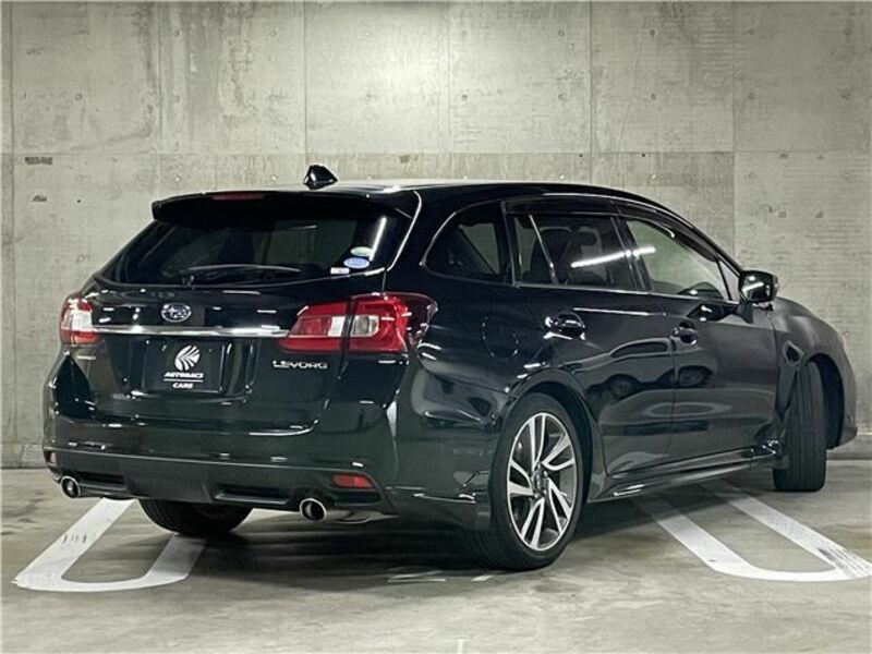 LEVORG