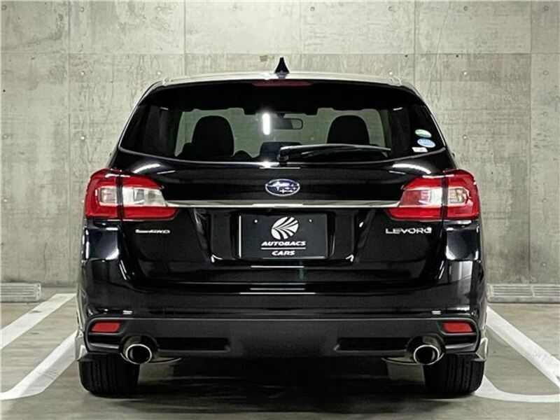LEVORG