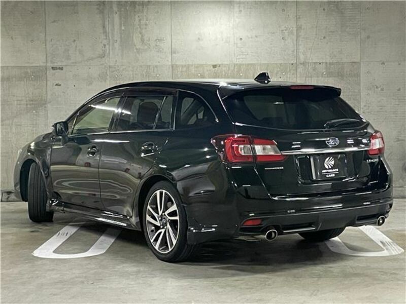 LEVORG