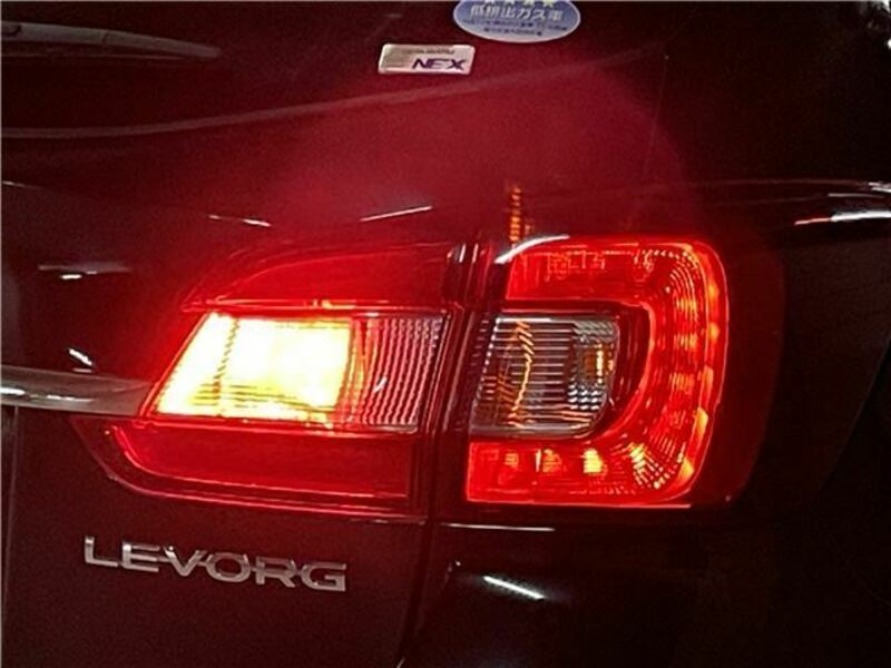 LEVORG