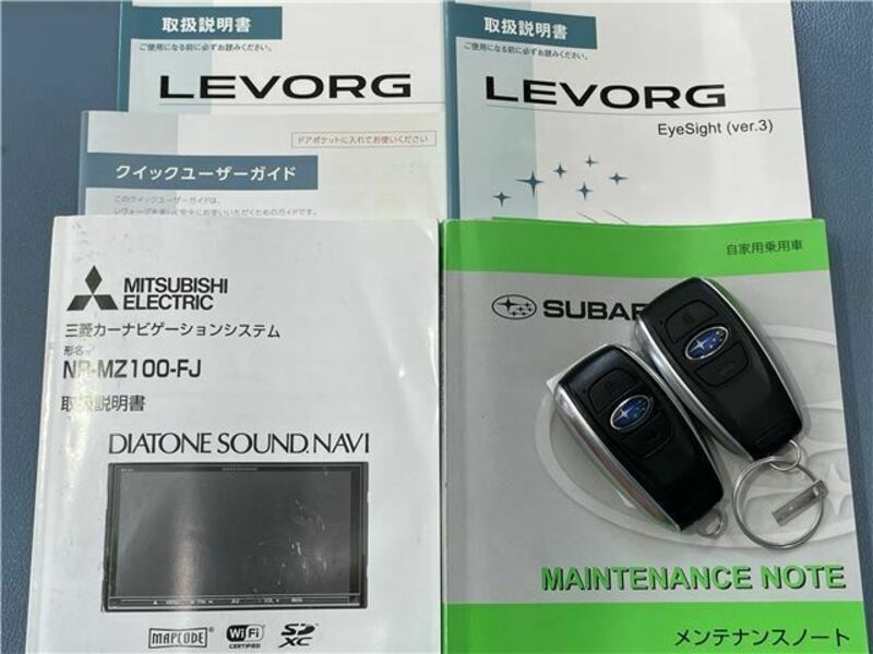 LEVORG