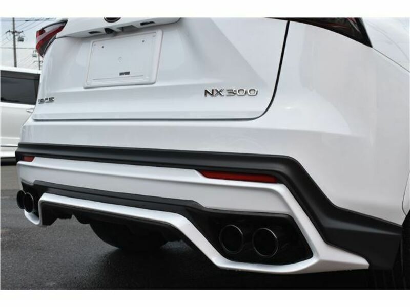 NX-20