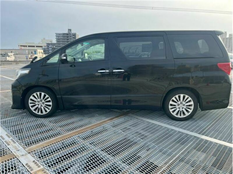 ALPHARD-7