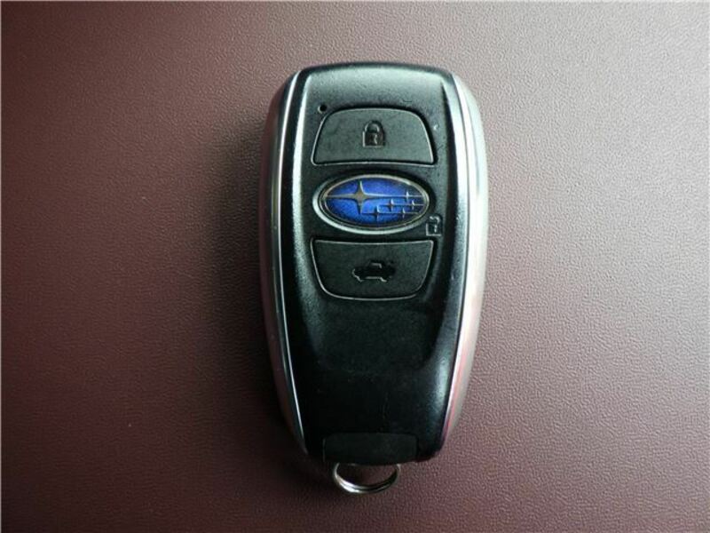 LEVORG-11