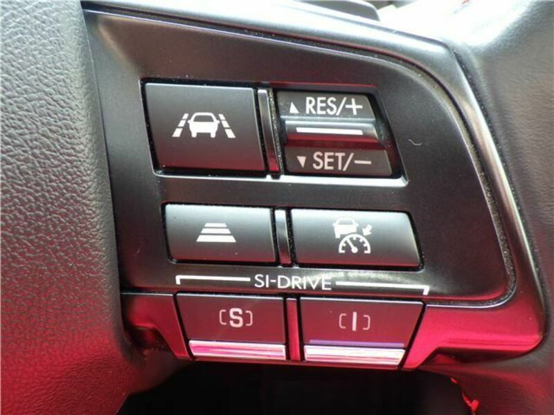 LEVORG-12