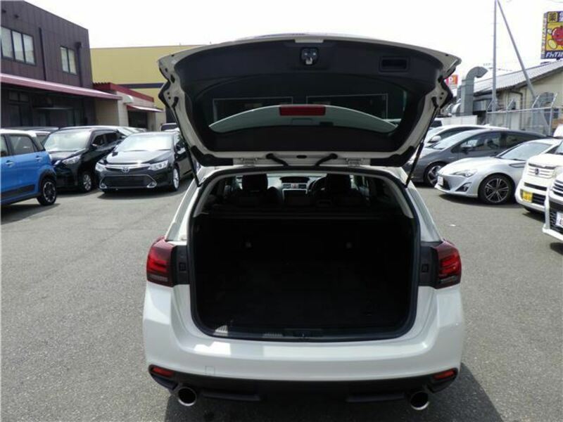 LEVORG-19