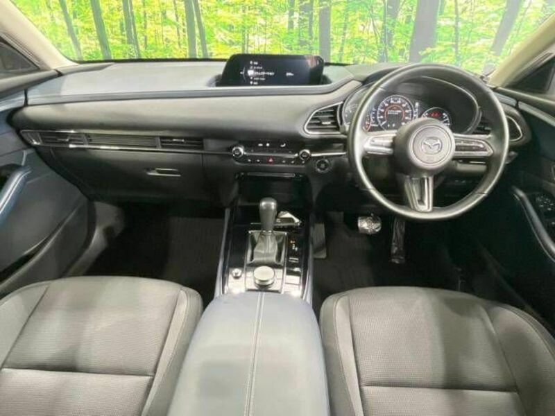 CX-30