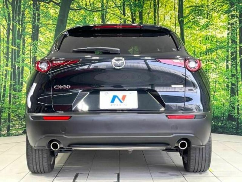 CX-30