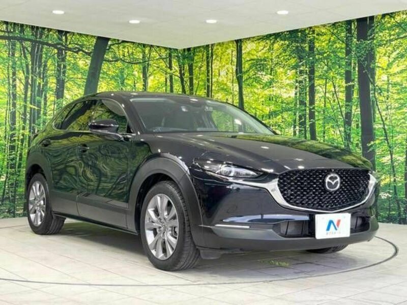 CX-30