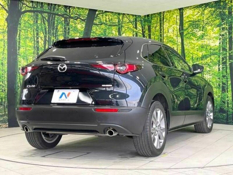 CX-30